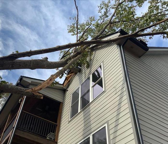 storm damage tree in house